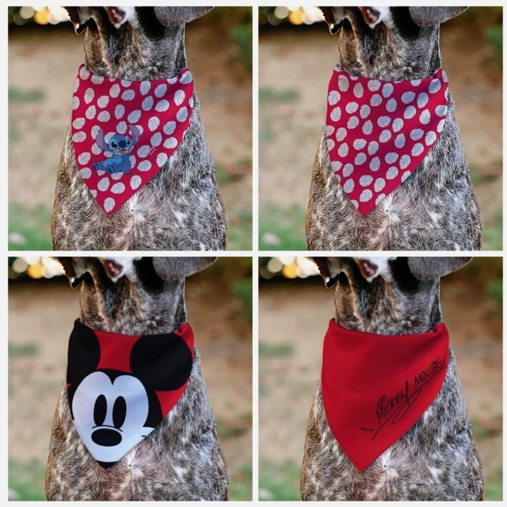 Disney Dog Collar Large 16-26" Mickey Mouse Stitch Reversible Bandana Buckle NIP